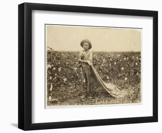 6-Year Old Warren Frakes with About 20 Pounds of Cotton in His Bag at Comanche County-Lewis Wickes Hine-Framed Photographic Print