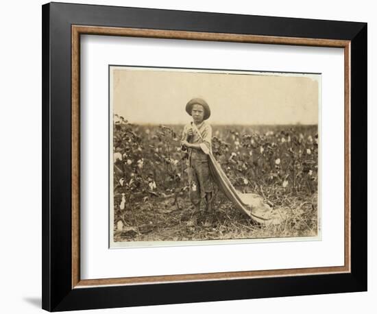 6-Year Old Warren Frakes with About 20 Pounds of Cotton in His Bag at Comanche County-Lewis Wickes Hine-Framed Photographic Print