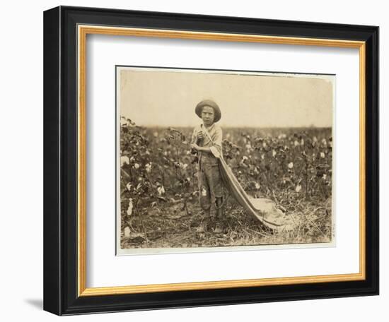 6-Year Old Warren Frakes with About 20 Pounds of Cotton in His Bag at Comanche County-Lewis Wickes Hine-Framed Photographic Print