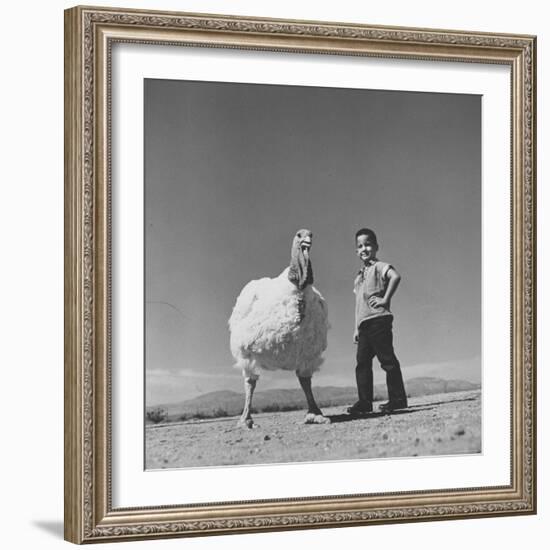 60 lb. Hybrid Turkey with 35 lb. Donny Bigfeather-Ralph Crane-Framed Photographic Print