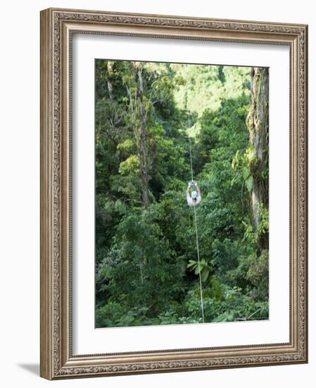 600 Metre Zip Line at the Top of the Sky Tram at Arenal Volcano, Costa Rica, Central America-R H Productions-Framed Photographic Print