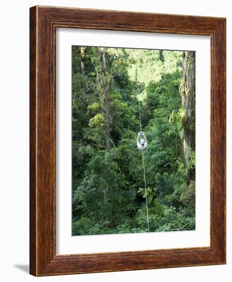 600 Metre Zip Line at the Top of the Sky Tram at Arenal Volcano, Costa Rica, Central America-R H Productions-Framed Photographic Print