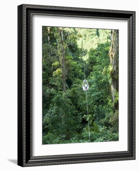 600 Metre Zip Line at the Top of the Sky Tram at Arenal Volcano, Costa Rica, Central America-R H Productions-Framed Photographic Print