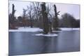 Premium Giclee Print
