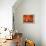 62CO-Pierre Henri Matisse-Framed Premier Image Canvas displayed on a wall