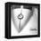 '63 Split Window-Daniel Stein-Framed Premier Image Canvas