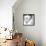 '63 Split Window-Daniel Stein-Framed Premier Image Canvas displayed on a wall