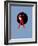 68CO-Pierre Henri Matisse-Framed Giclee Print