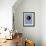 68CO-Pierre Henri Matisse-Framed Giclee Print displayed on a wall