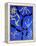 69CO-Pierre Henri Matisse-Framed Premier Image Canvas