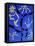 69CO-Pierre Henri Matisse-Framed Premier Image Canvas