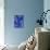 69CO-Pierre Henri Matisse-Mounted Giclee Print displayed on a wall