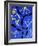 69CO-Pierre Henri Matisse-Framed Giclee Print