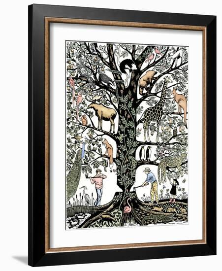 6Th Mass Extinction-Nat Morley-Framed Giclee Print