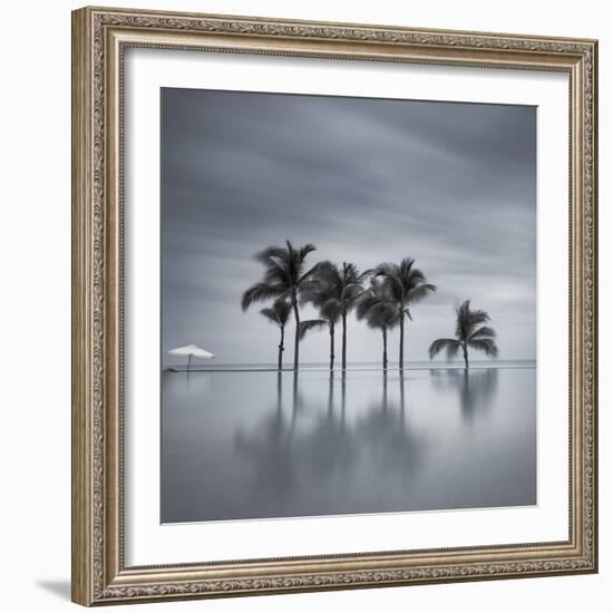 7 Palmeras-Moises Levy-Framed Photographic Print