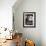 7-Weeks, Gold-Shaded and Silver-Shaded Persian Kittens in Watering Can Surrounded by Flowers-Jane Burton-Framed Photographic Print displayed on a wall