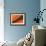 70S Retro Background - Abstract Curved Lines-one AND only-Framed Photographic Print displayed on a wall