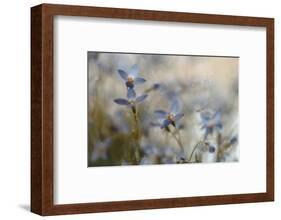 7173_I`m on my way-Heidi Westum-Framed Photographic Print