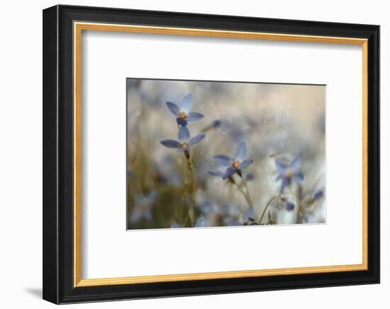 7173_I`m on my way-Heidi Westum-Framed Photographic Print