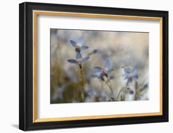 7173_I`m on my way-Heidi Westum-Framed Photographic Print