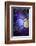 7691_Shapes in purple-Heidi Westum-Framed Photographic Print