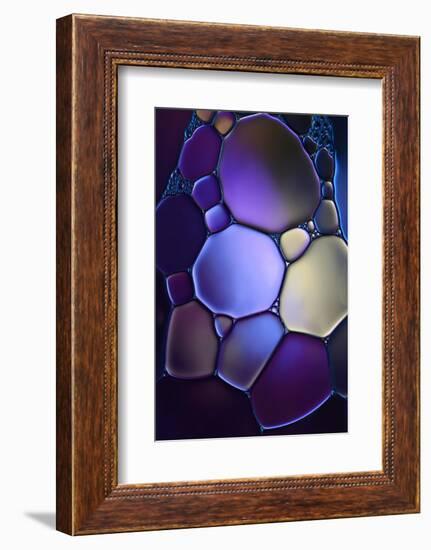 7691_Shapes in purple-Heidi Westum-Framed Photographic Print