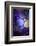 7691_Shapes in purple-Heidi Westum-Framed Photographic Print