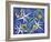 7CO-Pierre Henri Matisse-Framed Giclee Print