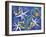 7CO-Pierre Henri Matisse-Framed Giclee Print