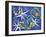 7CO-Pierre Henri Matisse-Framed Giclee Print