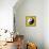 8-Bit Pixel-Art Yin Yang Symbol-wongstock-Framed Stretched Canvas displayed on a wall