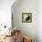 8-Bit Pixel-Art Yin Yang Symbol-wongstock-Framed Stretched Canvas displayed on a wall