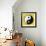 8-Bit Pixel-Art Yin Yang Symbol-wongstock-Framed Art Print displayed on a wall