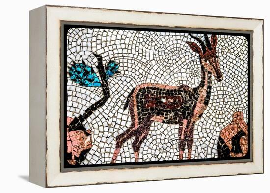 (8) From The Series, Twelve Tribes Of Israel-Joy Lions-Framed Premier Image Canvas