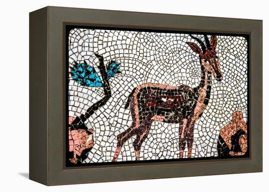 (8) From The Series, Twelve Tribes Of Israel-Joy Lions-Framed Premier Image Canvas