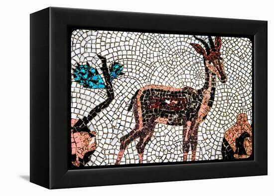 (8) From The Series, Twelve Tribes Of Israel-Joy Lions-Framed Premier Image Canvas