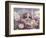 8-Week, Silver Tortoiseshell-And-White Kitten, Among Gillyflowers, Carnations and Meadowseed-Jane Burton-Framed Premium Photographic Print