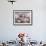 8-Week, Silver Tortoiseshell-And-White Kitten, Among Gillyflowers, Carnations and Meadowseed-Jane Burton-Framed Photographic Print displayed on a wall