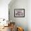 8-Week, Silver Tortoiseshell-And-White Kitten, Among Gillyflowers, Carnations and Meadowseed-Jane Burton-Framed Photographic Print displayed on a wall