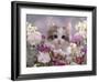 8-Week, Silver Tortoiseshell-And-White Kitten, Among Gillyflowers, Carnations and Meadowseed-Jane Burton-Framed Photographic Print