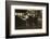 8 Year Old Leo-Lewis Wickes Hine-Framed Photographic Print