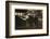 8 Year Old Leo-Lewis Wickes Hine-Framed Photographic Print