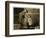 8 Year Old Newsboy Michael Mcnelis-Lewis Wickes Hine-Framed Photographic Print