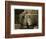 8 Year Old Newsboy Michael Mcnelis-Lewis Wickes Hine-Framed Photographic Print