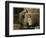 8 Year Old Newsboy Michael Mcnelis-Lewis Wickes Hine-Framed Photographic Print