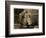 8 Year Old Newsboy Michael Mcnelis-Lewis Wickes Hine-Framed Photographic Print