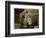 8 Year Old Newsboy Michael Mcnelis-Lewis Wickes Hine-Framed Photographic Print