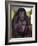 800 Pound Gorilla-Leah Saulnier-Framed Giclee Print