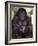 800 Pound Gorilla-Leah Saulnier-Framed Giclee Print