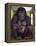 800 Pound Gorilla-Leah Saulnier-Framed Premier Image Canvas